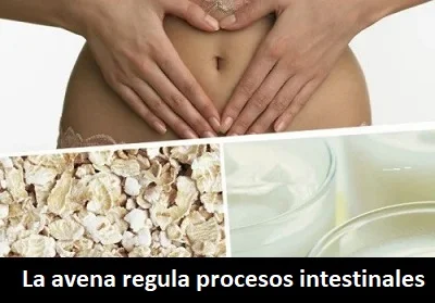 La avena regula procesos intestinales