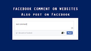 Facebook comment on website - Also post on Facebook - where is it displayed?