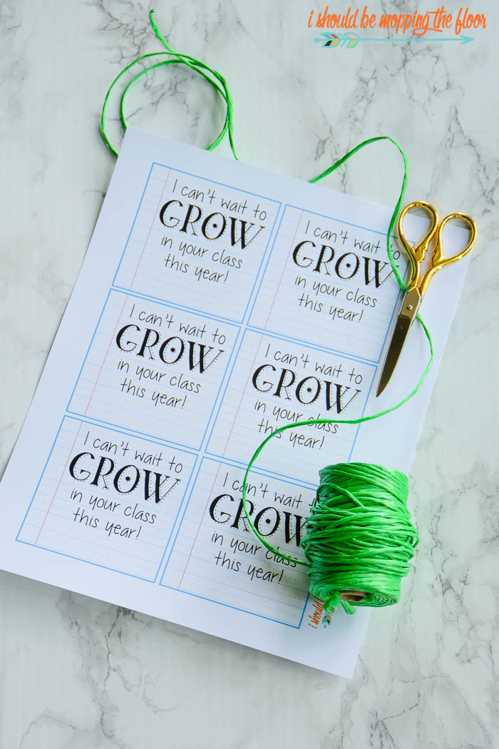 Budget Friendly Back to School Teacher Gifts with Free Printable Gift Tags