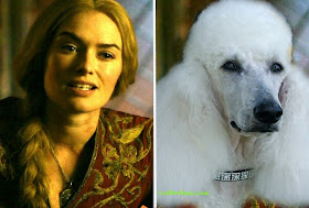 Game of Thrones characters as dogs