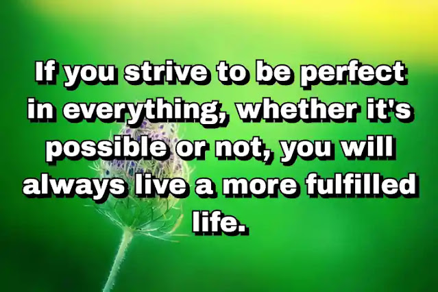 "If you strive to be perfect in everything, whether it's possible or not, you will always live a more fulfilled life." ~ Behdad Sami
