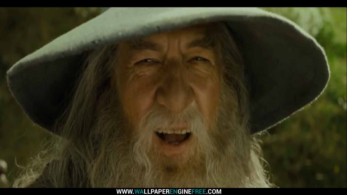 Download Gandalf Epic Saxophone Guy 1080p Wallpaper Engine ...