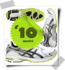 Asics2011GelDSTrainer15Sticker