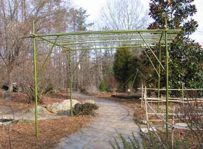 Bamboo Trellis7