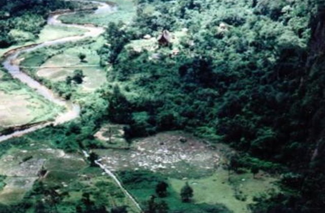 Ekosistem Hutan