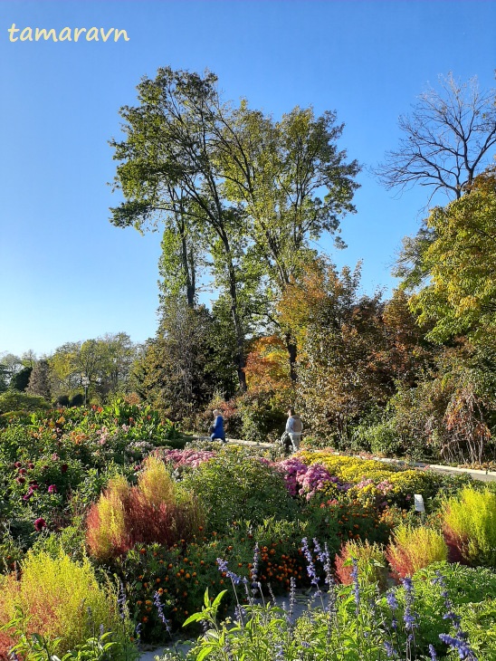 Ботанический сад в октябре