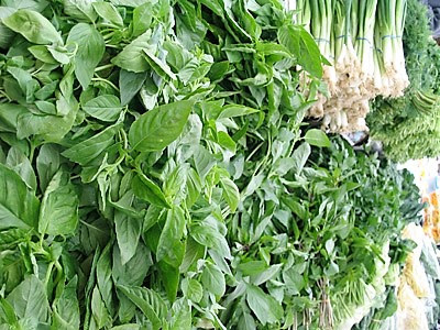 freshly cut herbs