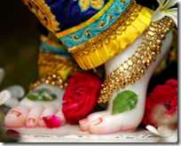 [Krishna's lotus feet]