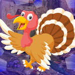 Games4King - G4K Elated Turkey Escape Game