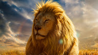 Gambar Singa / gambar singa | Indonesiadalamtulisan || Terbaru 2014 / Check spelling or type a new query.