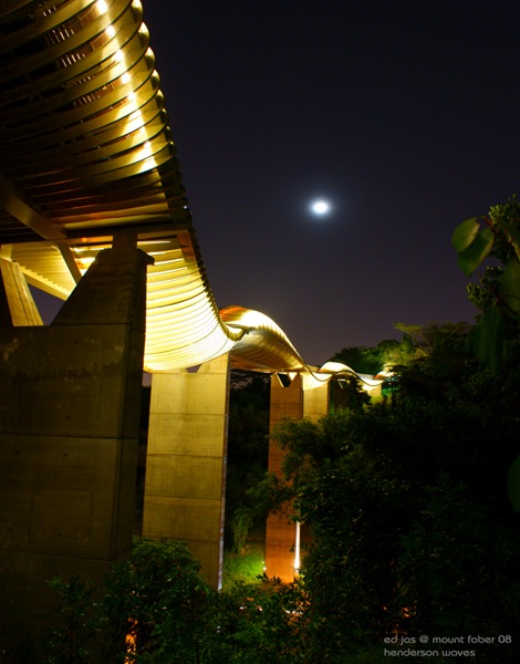 8. Golden Henderson Waves at Night (1)