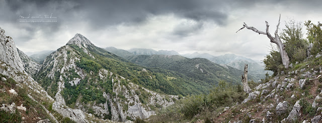 fotografia-de-Asturias-fotografo-David-Garcia-Torrado-Tevergar-turismo-naturaleza