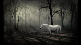 fantasy, unicorn, horse, wallpapers, widescreen, high definition, 