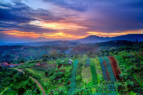 Bukit Moko