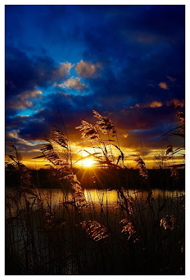 Landscape Photography, sunset, the sun