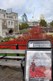 Poppies at The Tower of London, Blood Swept Lands and Seas of Red