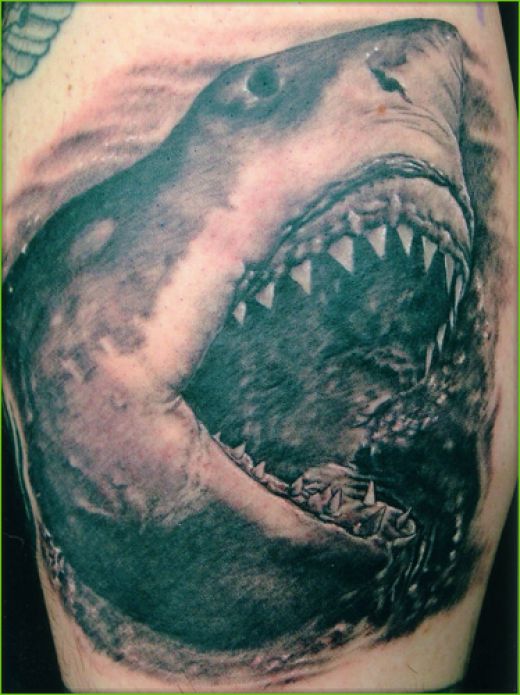 shark tattoo designs. a shark tattoo,