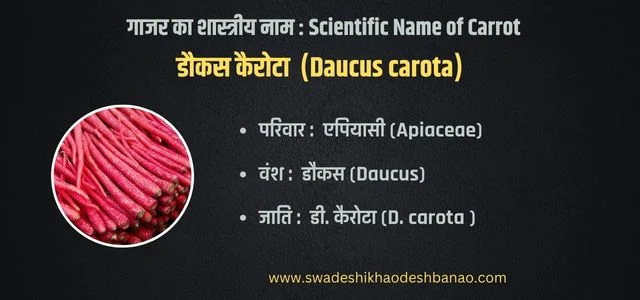 scientific name of carrot in hindi