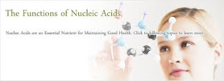 function of nucleic acids in the human body