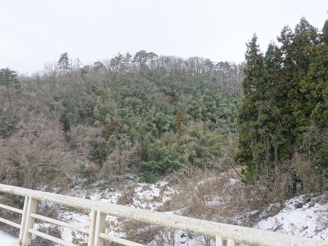 大山ガーデンプレイスに向かいます