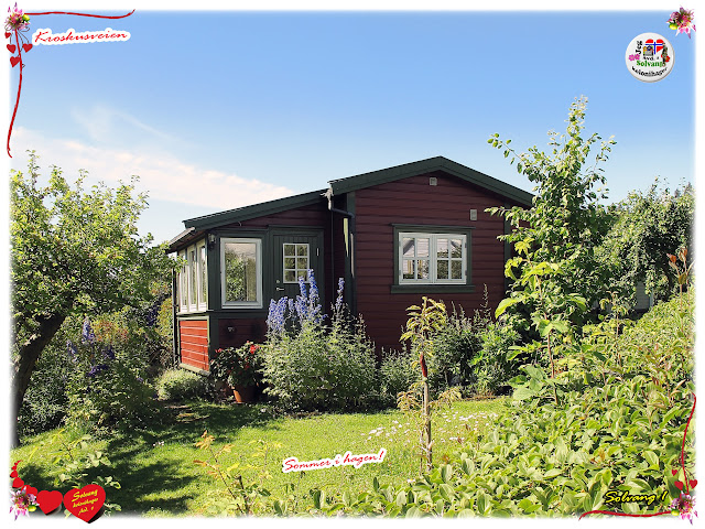 Sommerfint i Solvang kolonihager, avd. 1 på Sogn i Bydel Vestre Aker i Oslo.
