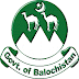Latest Jobzuking Jobs in Public Sector Organization Balochistan October 2022 Jobs