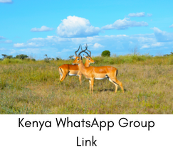 Kenya WhatsApp Group Link