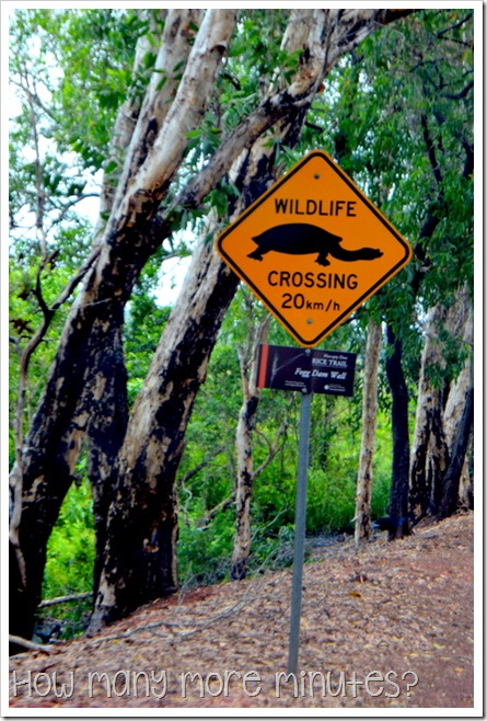 Fogg Dam Conservation Reserve | How Many More Minutes?