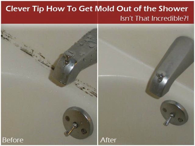 How to Get Mold Out of the Shower DIY Craft Projects