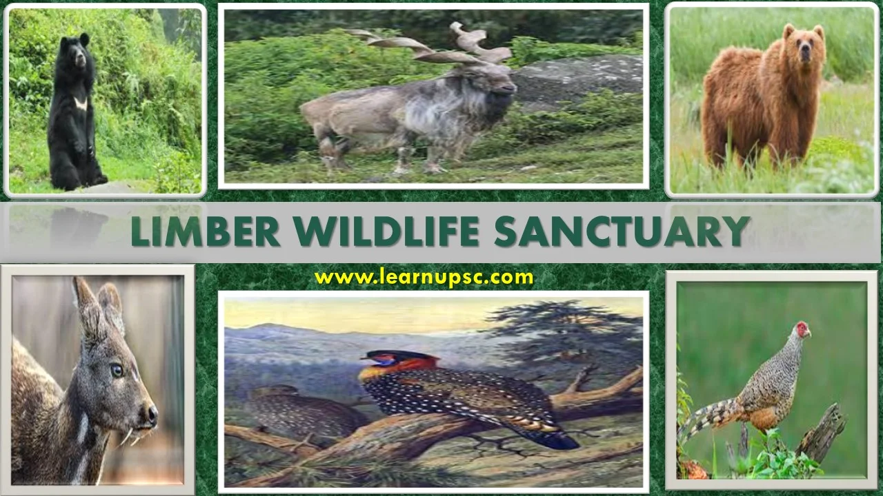 Limber Wildlife Sanctuary
