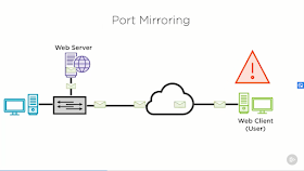 best Pluralsight course for CompTIA Network+ Certification