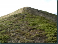 DSCN0590