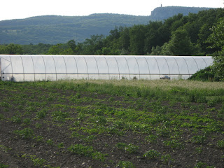 A nice view of the mountain