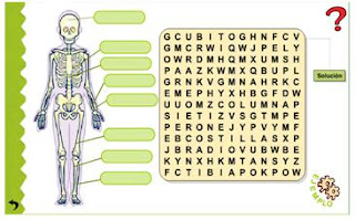 http://www.ceipjuanherreraalcausa.es/Recursosdidacticos/SEGUNDO/datos/03_cmedio/03_Recursos/actividades/01/act3.htm