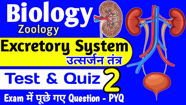Excretory System Kidney Multiple Choise Quiz