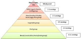 High Cholesterol Food List