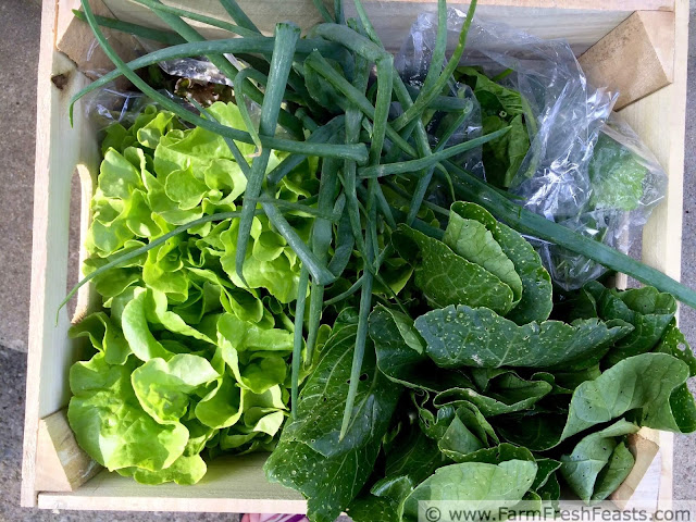 A concept recipe for using Spring farm share greens in a hearty main dish salad. Grill a protein, some vegetables, and a green, then toss with a grain and some cheese for a simple salad supper.