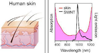 Nanotube emmisions are paticularly easy to detect in living systems because they fall within a range of the infared spectrum where skin and other tissues are transparent.