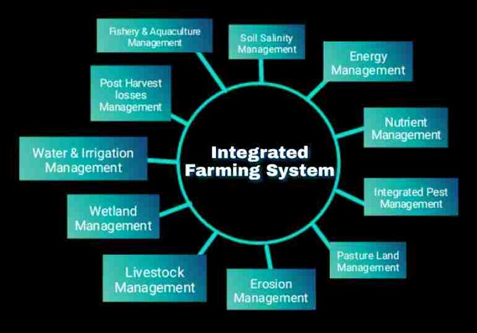 Integrated Farming System (IFS) UPSC