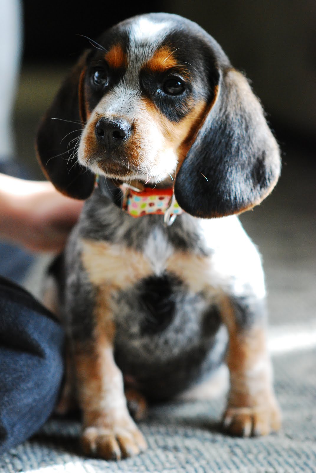 Such is This (and so on): Meet Layla