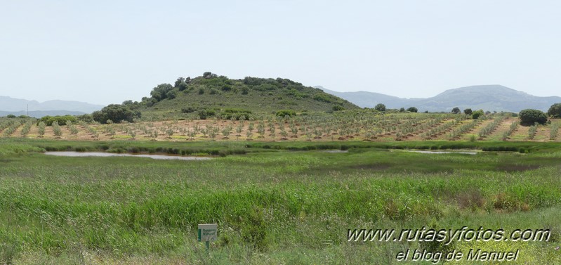 Laguna de Fuente de Piedra y Lagunas de Campillos