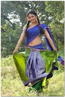 Meenakshi, milky, navel, in, half, saree, pictures