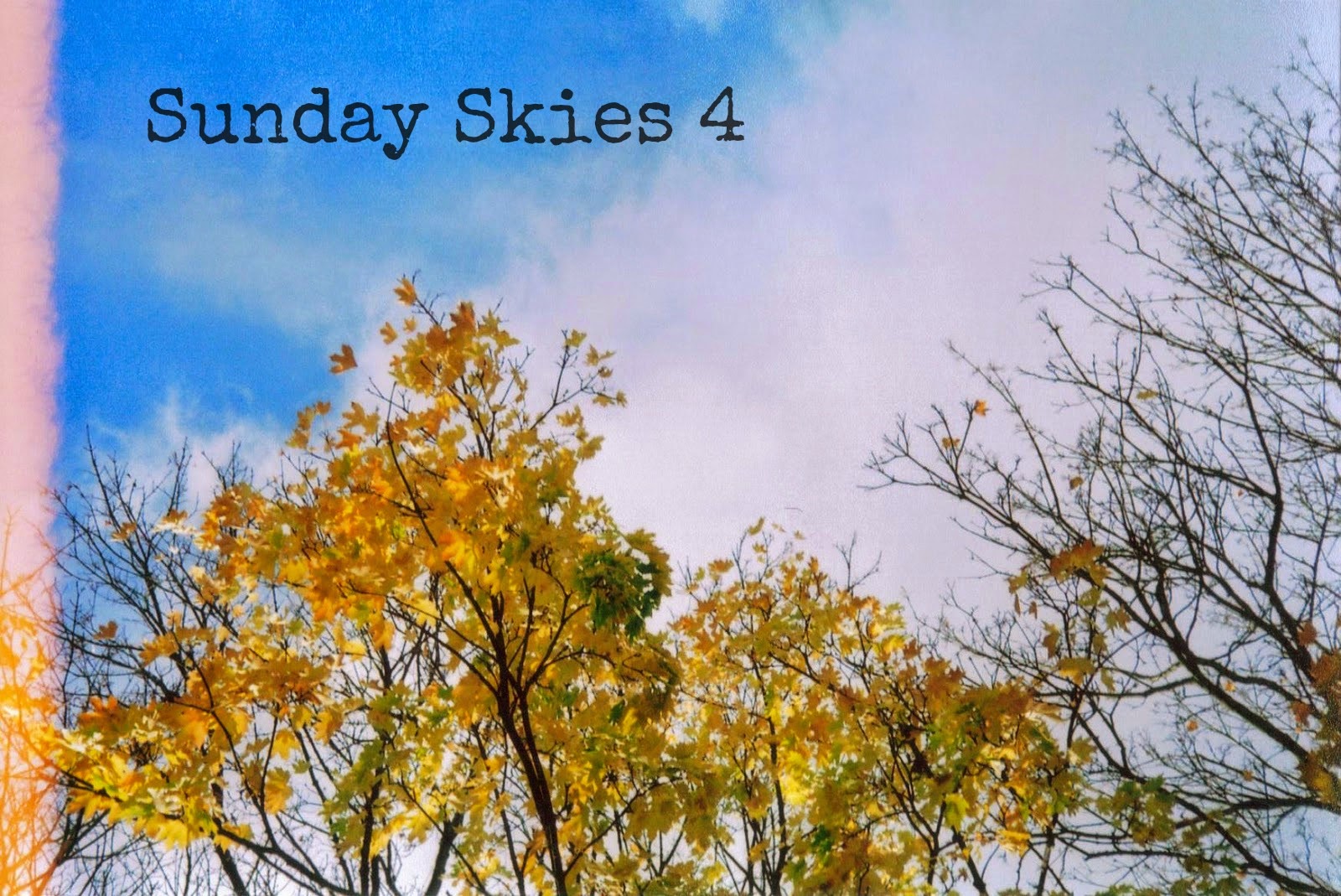 http://talesonfilm.blogspot.co.uk/2014/04/sunday-skies_13.html