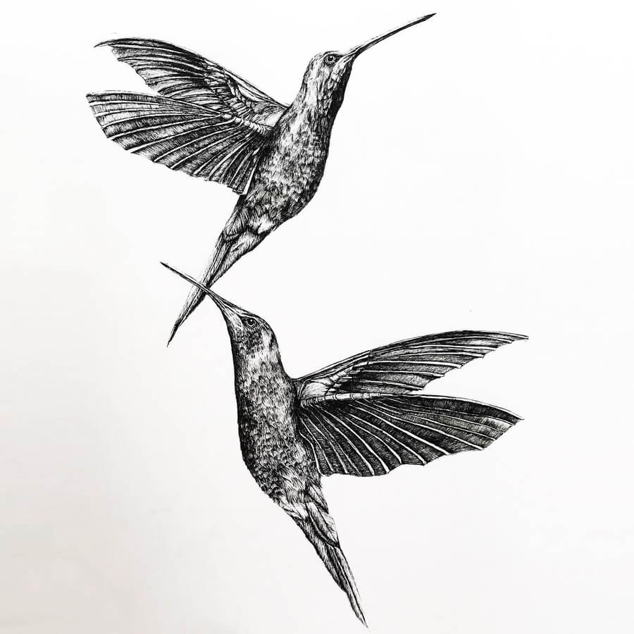 09-Hummingbird-twins-Pascal-Wijnberg-www-designstack-co