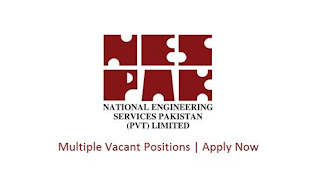 NESPAK Jobs 2022 - NESPAK Foundation Jobs 2022 - http://nespakfoundation.com.pk/Careers.html - NESPAK Careers