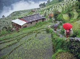 Annapurna base camp trek