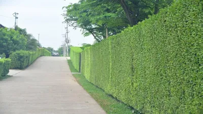 ท่าจอดแพริมแม่น้ำแควน้อย