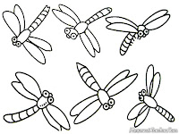 Realistic Dragonfly Coloring Pages For Kids