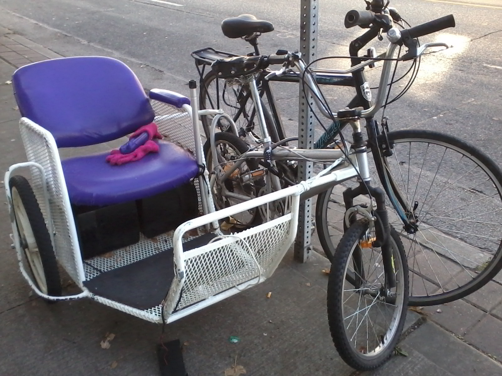 Bicycle Side car