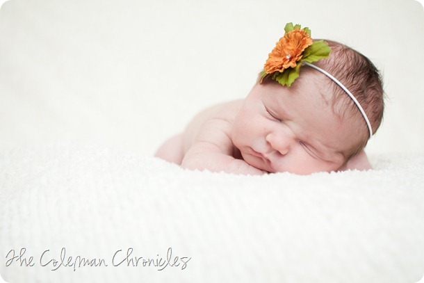 H newborn-17